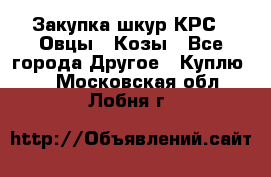 Закупка шкур КРС , Овцы , Козы - Все города Другое » Куплю   . Московская обл.,Лобня г.